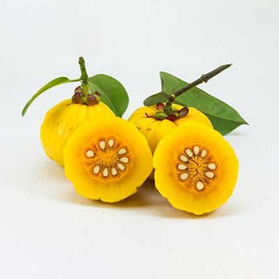 Garcina cambogia
